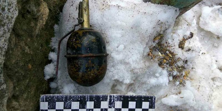 Опять граната, только теперь в Вознесенске: ее бросили во двор местного жителя