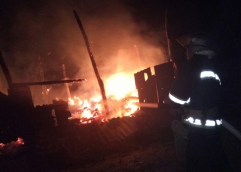 Под Николаевом горели два дачных домика, а в Казанковском районе – сенник