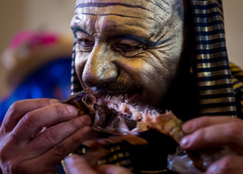 На фестивале во французском Дюнкерке в толпу бросили 450 кг селедки