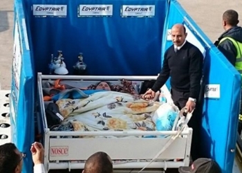 EgyptAir доставила 500-килограммовую женщину на лечение в Индию