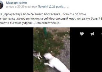 17-летнюю харьковчанку отправили под суд за видео с убийством котенка