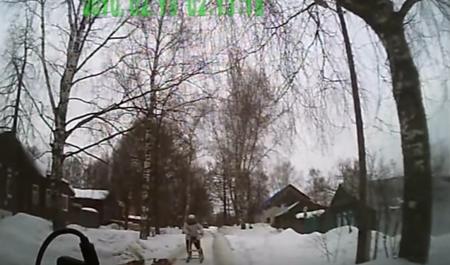 Нелепое ДТП. В РФ женщина на собачьей упряжке врезалась в автомобиль