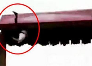 В Китае девочка погибла на аттракционе. Видео 18+