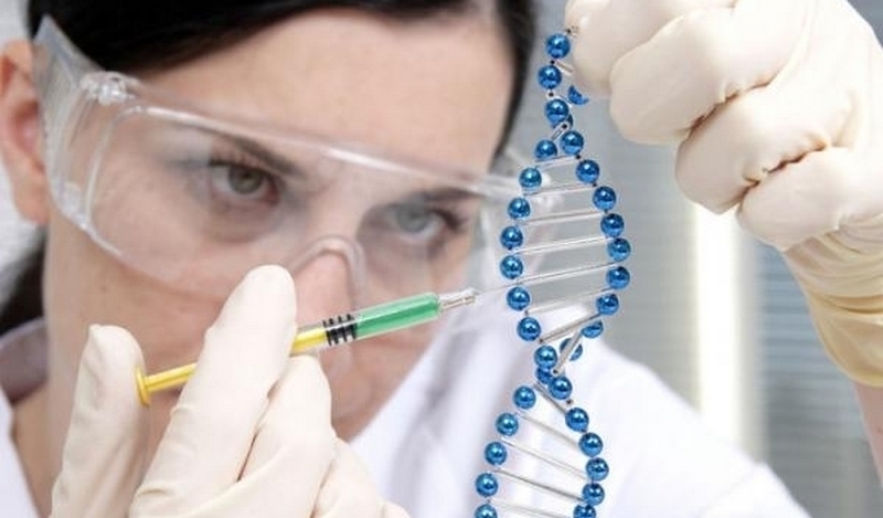 Ученые хотят расшифровать геномы всего живого. Обойдётся это как минимум в $7 млрд 1