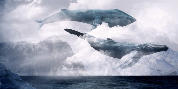 Кураторами групп малолетних самоубийц оказались студенты мединститута