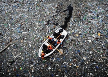 ООН объявляет войну одноразовым пластиковым пакетам