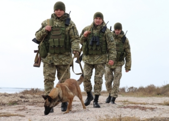 Не удивляйтесь, если у вас попросят документы: пограничники напомнили, где в Николаевской области действует пограничный режим