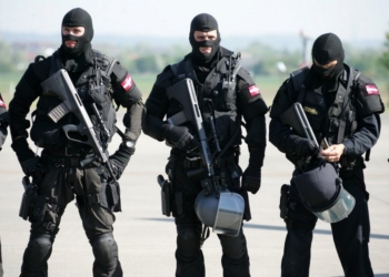 В Вене задержали 22 россиянина с арсеналом оружия