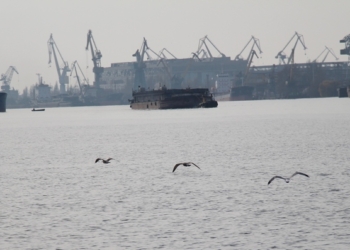 Пограничники отдела «Николаев» не пустили в область 37 иностранцев