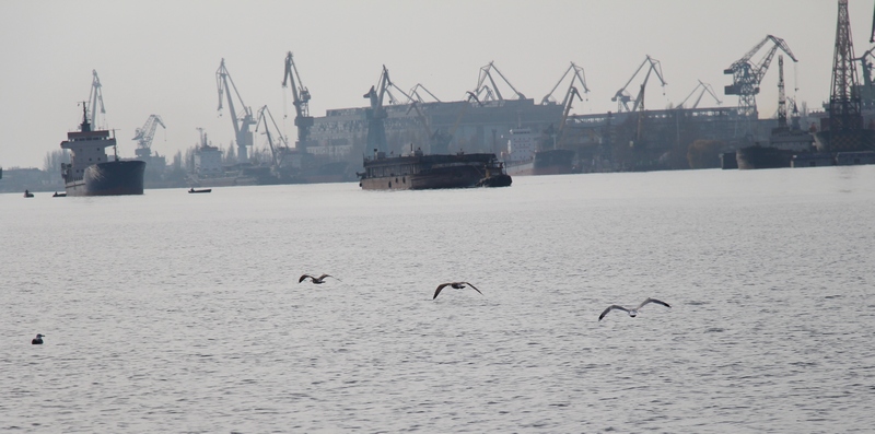 Грузооборот в портах Украины: порт Николаев – на втором месте, а «Ольвия» нарастила грузоперевалку почти на 34% (ИНФОГРАФИКА) 3