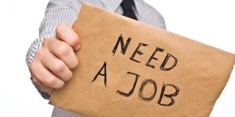 В США введут “красную карту” для временных мигрантов, дающую право на легальное трудоустройство на ограниченный срок