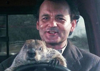 Сегодня День сурка: Увидит ли сурок Тимка свою тень?