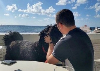 Израильский адвокат “выбил” электронный проездной для своего пса