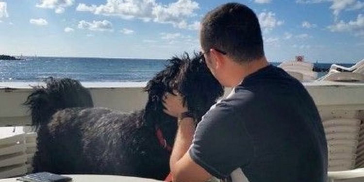 Израильский адвокат “выбил” электронный проездной для своего пса