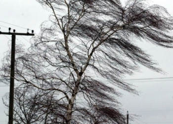 Спасатели предупредили жителей Николаевской области о порывах ветра до 15-20 м/с