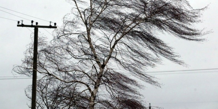 Спасатели предупредили жителей Николаевской области о порывах ветра до 15-20 м/с