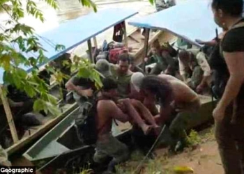 Дикие обезьяны 9 дней кормили туриста, заблудившегося в джунглях