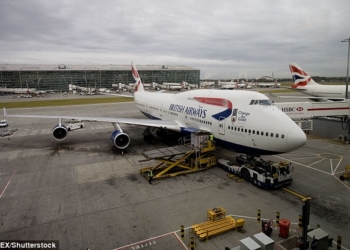 «Британские авиалинии» отменили рейс в Сан-Франциско из-за мыши на борту самолета