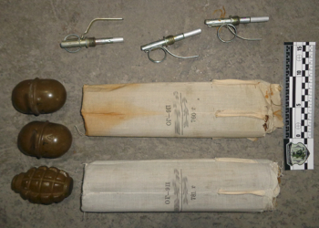 Взрывоопасная посылка: житель Черниговщины пытался отправить в Николаев 3 гранаты и 1,5 кг пороха