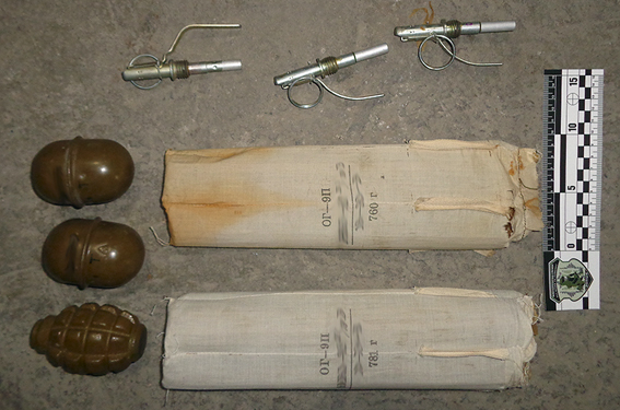 Взрывоопасная посылка: житель Черниговщины пытался отправить в Николаев 3 гранаты и 1,5 кг пороха