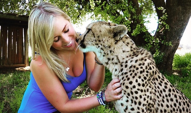 А гепарды, оказывается, тоже мурчат: удивительная история дружбы 4 гепардов и блондинки