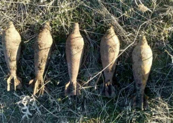 За вчерашний день в Николаевской области уничтожили 6 взрывоопасных находок