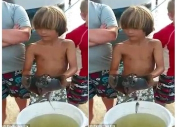 Наверно, наследственное: у маленького сына американского рыбака прямо на руках начал рожать скат-хвостокол