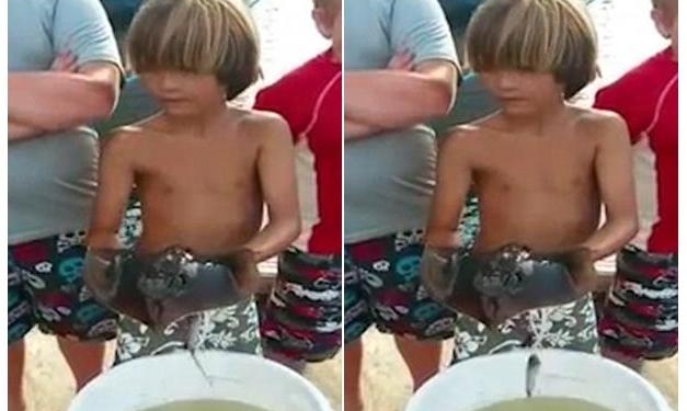 Наверно, наследственное: у маленького сына американского рыбака прямо на руках начал рожать скат-хвостокол