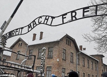 Два британских школьника украли исторические артефакты в Освенциме и заплатят штраф