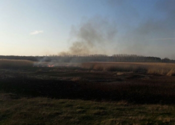 На Николаевщине опять горят камыш и трава. А в Первомайске они чуть не «сожгли» жилой дом