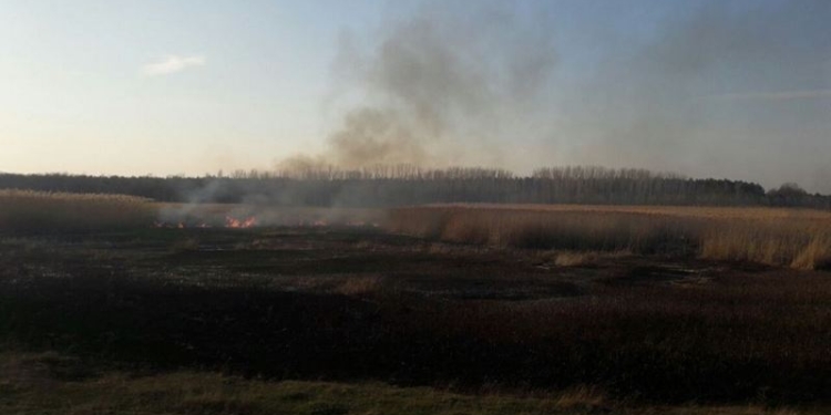 На Николаевщине опять горят камыш и трава. А в Первомайске они чуть не «сожгли» жилой дом