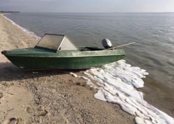 В Днепро-Бугском лимане николаевские браконьеры выловили почти 200 кг рыбы