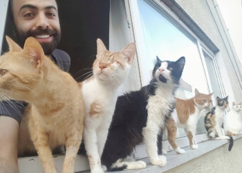 Кот-баюн. Он очень любит музыку хозяина-пианиста