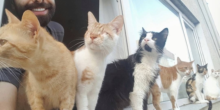 Кот-баюн. Он очень любит музыку хозяина-пианиста