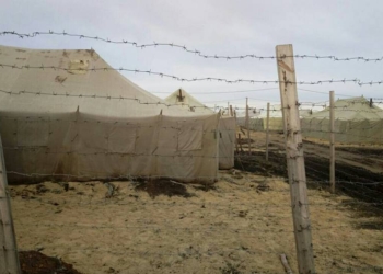 Николаевские волонтеры утверждают: Широкий Лан к приему готов. И хвалят губернатора