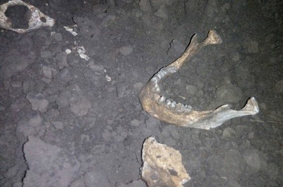В Николаевской области во время сельхозработ выкопали скелет