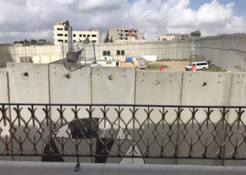 С подтекстом. Отель на рубеже и худший вид из окна. Его построил художник Бєнкси на окраине Вифлеема