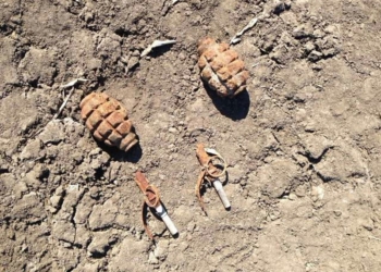 И еще плюс 5: на Николаевщине обезвредили очередные боеприпасы