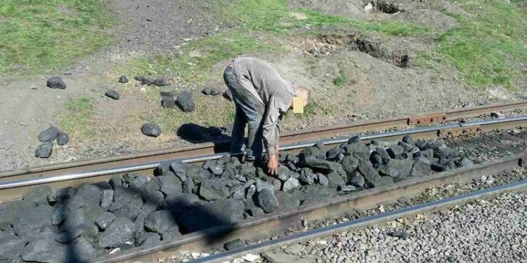 То была соя, теперь уголь: в Николаеве снова кража из вагонов