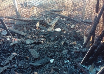 Пожар в Варваровке – горела хозпостройка