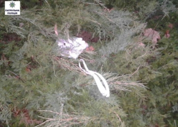 В Николаеве пьяные юноши ограбили женщину