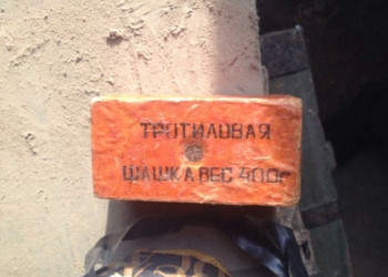 Житель Витовского района «случайно» привез с Востока страны тротиловую шашку