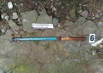 Жуть: на Николаевщине железной трубой до смерти была забита многодетная мать