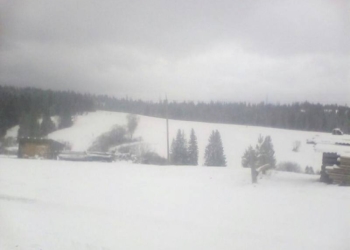 Весна, говорите? А на Львовщине снег выпал