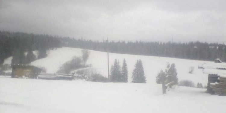 Весна, говорите? А на Львовщине снег выпал