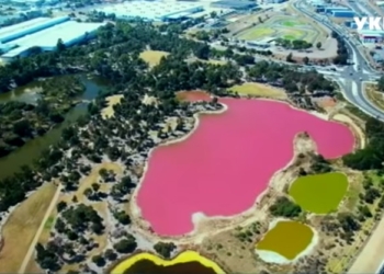 Озеро в Австралии вдруг покраснело. Почему?