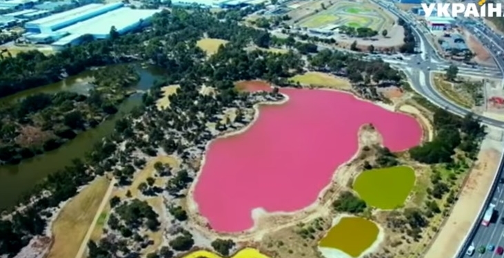 Озеро в Австралии вдруг покраснело. Почему?