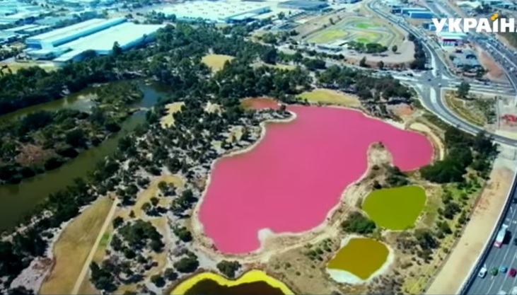 Озеро в Австралии вдруг покраснело. Почему? 1