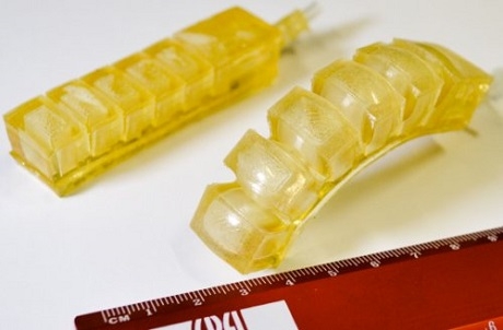 Кушать подано: в Швейцарии создали первого в мире съедобного робота