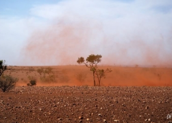 Пылевой дьявол сорвал футбольный матч в Африке